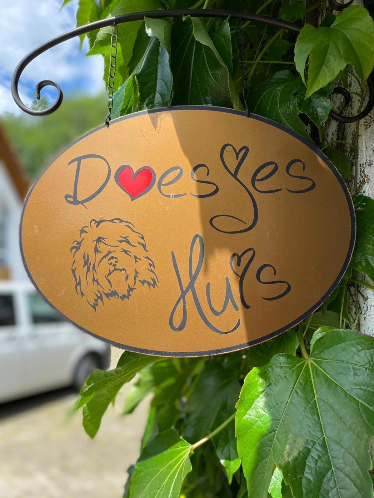 Appartement Doesjes Huis Naumburg  Dış mekan fotoğraf